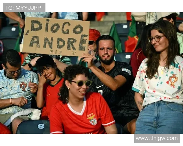 欧洲杯赛事球迷互动及文化传承研究 欧洲杯赛事球迷互动及文化传承研究